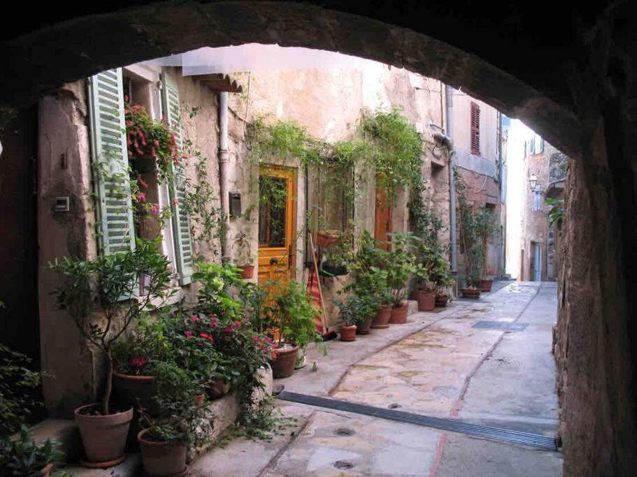 Studio Calme Et Agreable Avec Acces Jardin Partage Le Bar-sur-Loup Bagian luar foto
